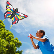 Beautiful Butterfly Kite E5