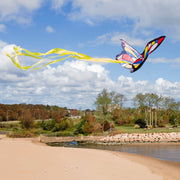 Beautiful Butterfly Kite E5