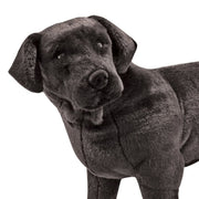 Black Lab Giant Stuffed Animal P8