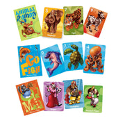 Classic Card Game Set Q0