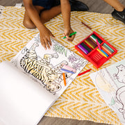 Coloring Pad 3-Pack: Animals, Vehicles, Multi-Theme C0