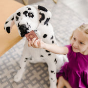 Dalmatian Giant Stuffed Animal B8