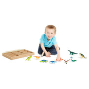 Dinosaur Party Play Set G9