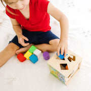 Disney Mickey Mouse & Friends Wooden Shape Sorting Cube W7