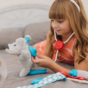 Examine & Treat Pet Vet Play Set N3