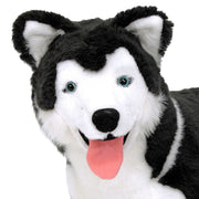 Husky Giant Stuffed Animal R3