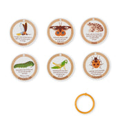 Let’s Explore Terrarium Observations Play Set K9
