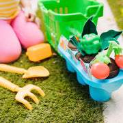 Let’s Explore Vegetable Gardening Play Set F0