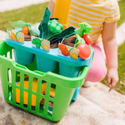 Let’s Explore Vegetable Gardening Play Set F0