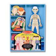 Magnetic Human Body Play Set F6