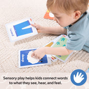Ms. Rachel™ First Words Sensory Cards S8