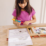Natural Play: Play, Draw, Create Reusable Drawing & Magnet Kit – Dinosaurs I7