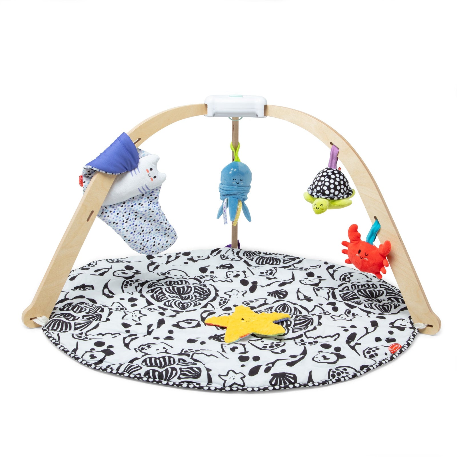 Ocean Easy-Fold Play Gym H1