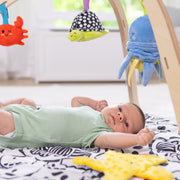 Ocean Easy-Fold Play Gym H1