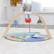 Ocean Easy-Fold Play Gym H1
