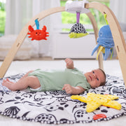 Ocean Easy-Fold Play Gym O0