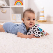 Ocean Tummy Time Triangle Baby Toy V5