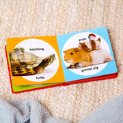 Poke-a-Dot: Pet Families Board Book Z5
