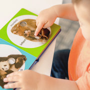 Poke-a-Dot: Wild Animal Families Board Book D7