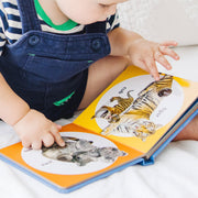 Poke-a-Dot: Wild Animal Families Board Book D7