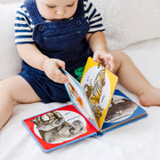 Poke-a-Dot: Wild Animal Families Board Book D7
