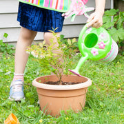 Pretty Petals Watering Can S4