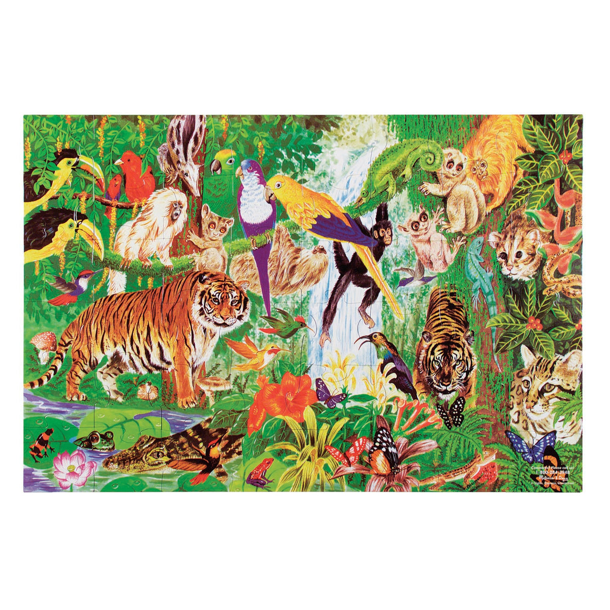 Rainforest Floor Puzzle - 48 Pieces F8