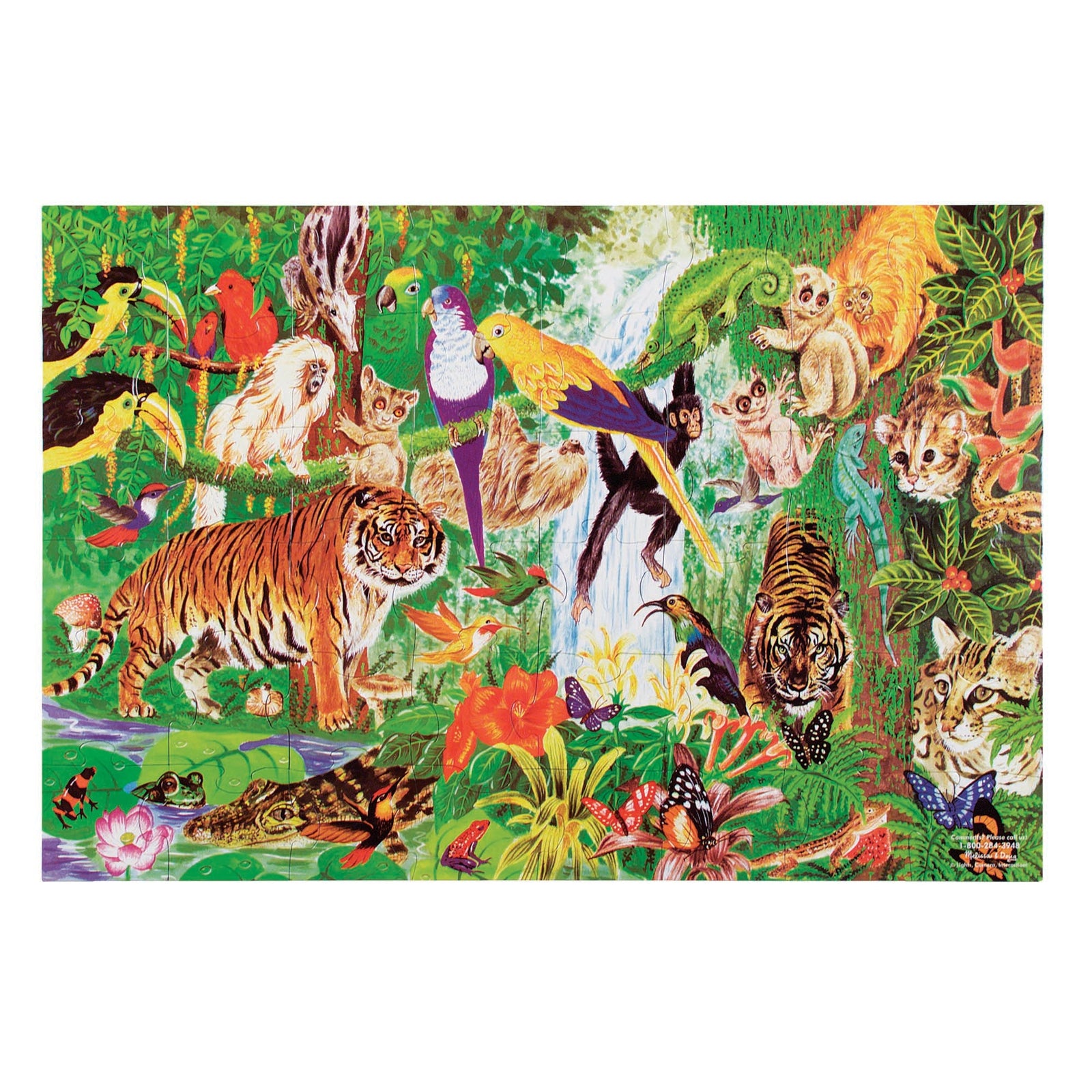 Rainforest Floor Puzzle - 48 Pieces W5