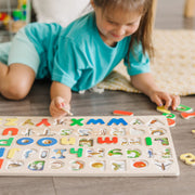 Upper & Lower Case Alphabet Puzzle D1