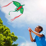 Winged Dragon Shaped Kite Z4