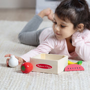 Wooden Food Groups Play Set – Produce G4
