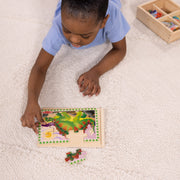 Wooden Jigsaw Puzzles in a Box - Dinosaurs R7